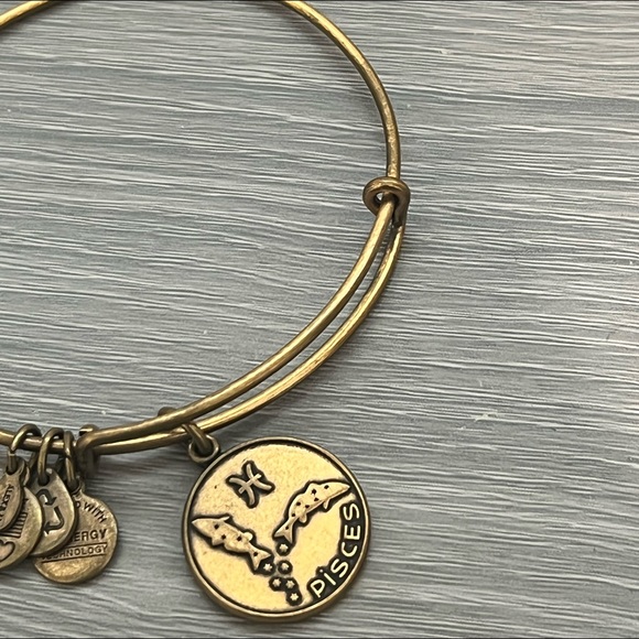 Alex and Ani Pisces Gold Bangle Bracelet,  Zodiac Astrological Sign, 2013 - Picture 4 of 5